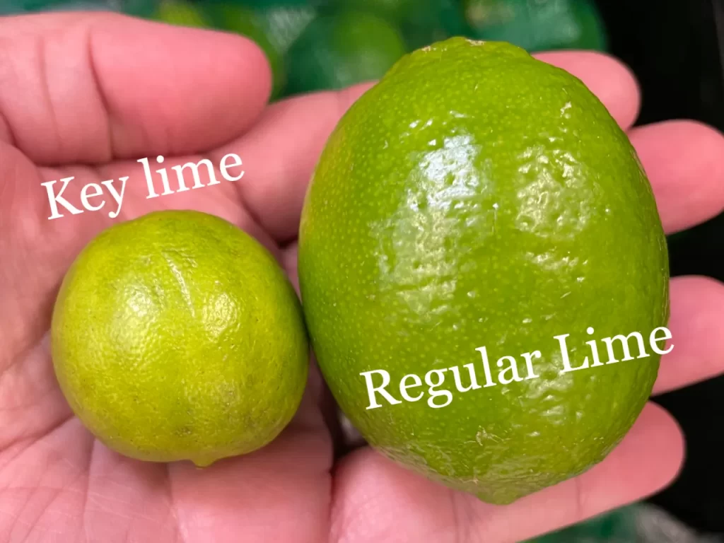 Comparison of key lime as about 1/2 the size of a regular lime